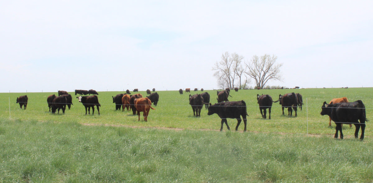 7m Ranch Contact Us – 7M Ranch