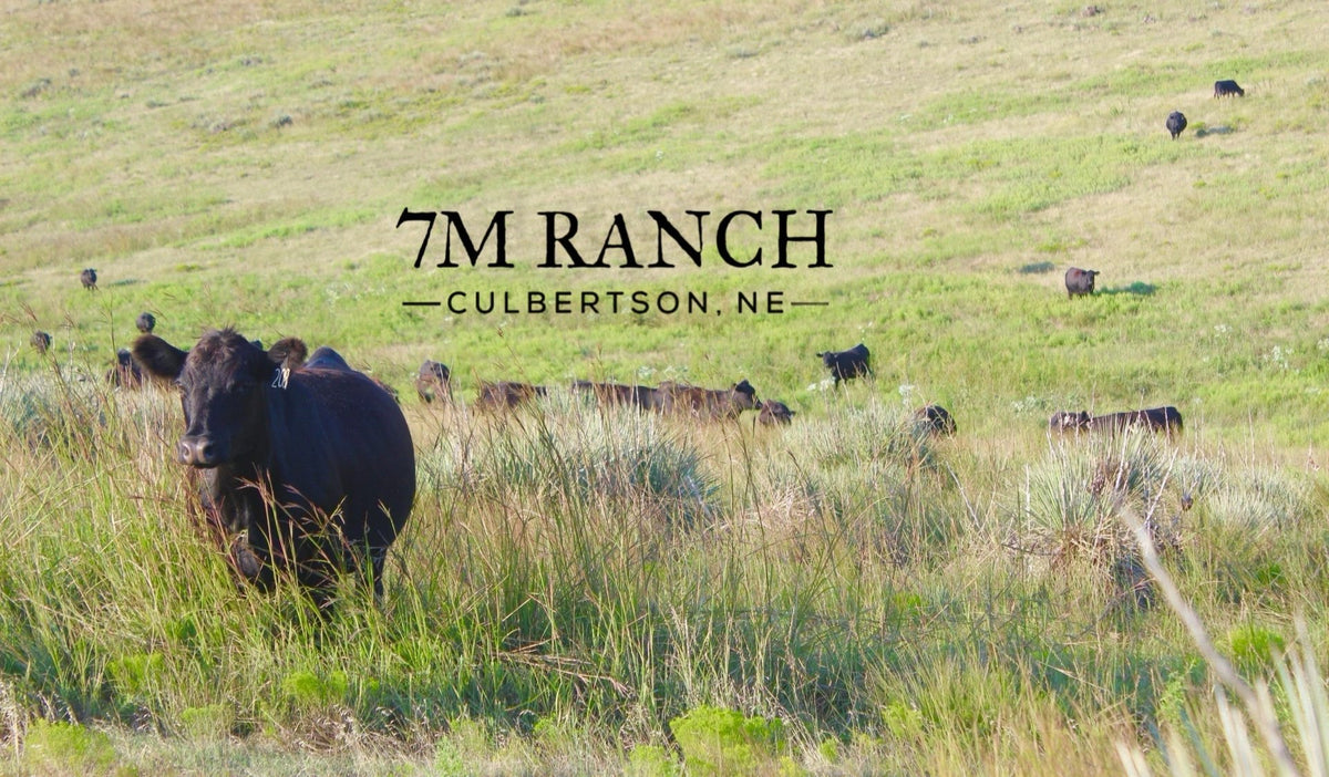 7m Ranch 7M Ranch